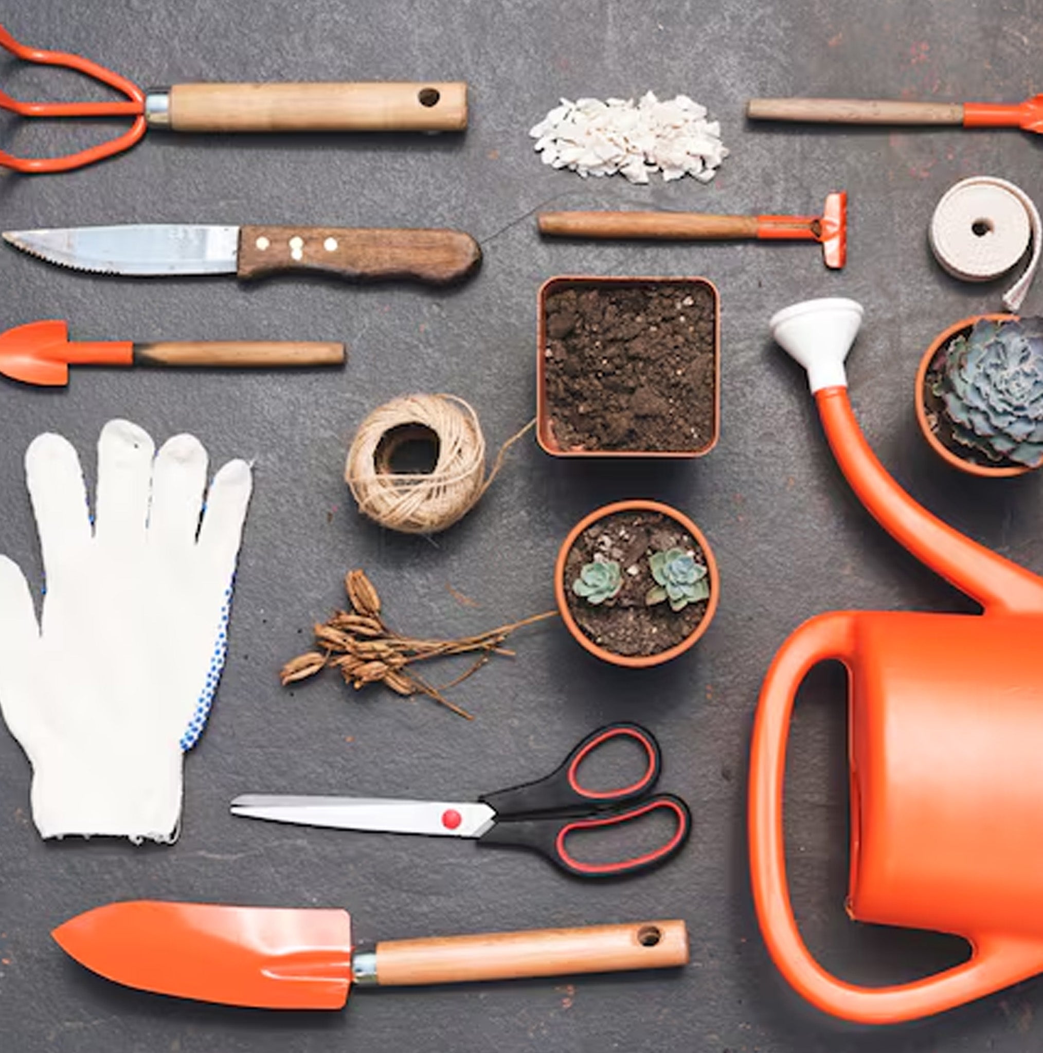 Garden Accessories & Tools