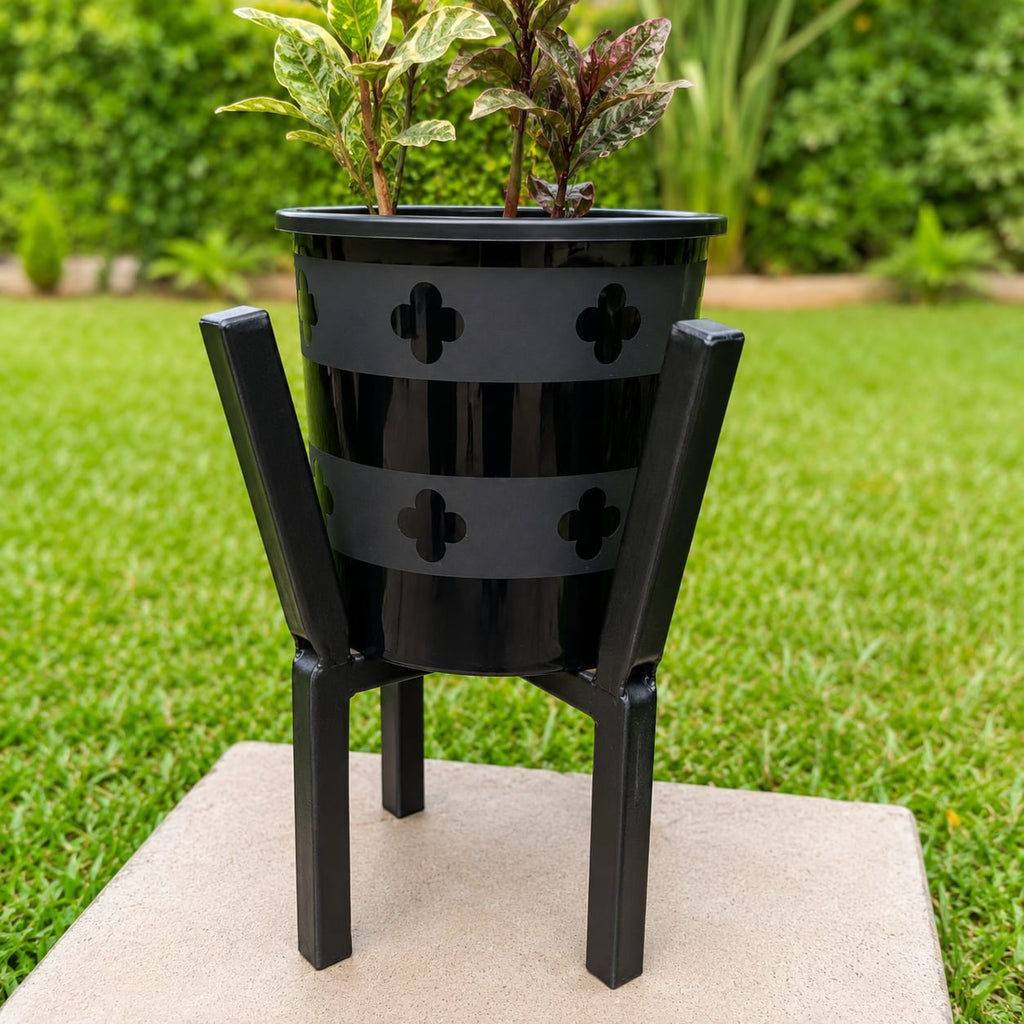 Purple Haze plant in black decorative pot with metallic stand on garden patio