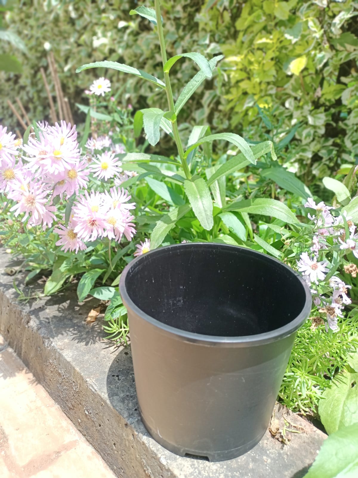 Kenpoly Planter No. 7 – Planter Brown