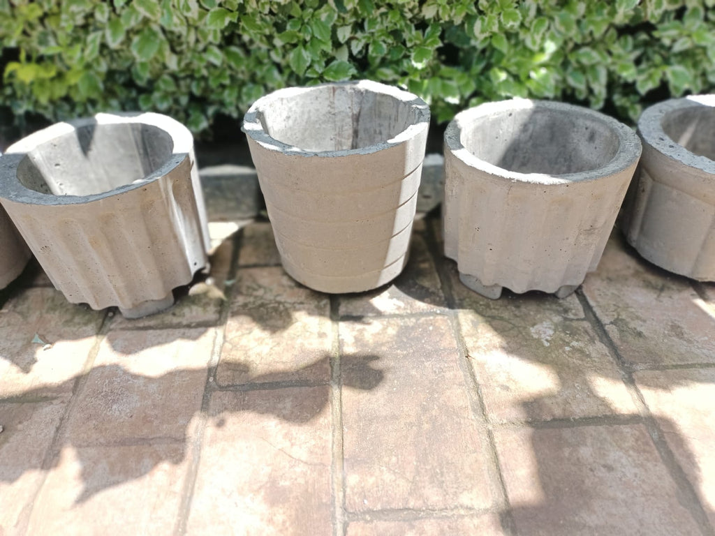 Ribbed concrete plant pots with scalloped rim – Jowaki Gardens