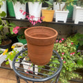 Empty clay plant pot with carved patterned rim viewed from above