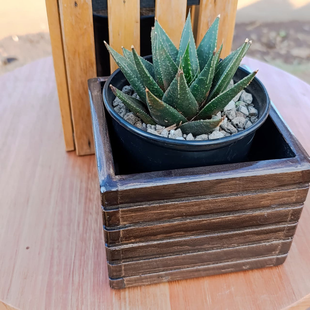 Wooden planter box on a round table