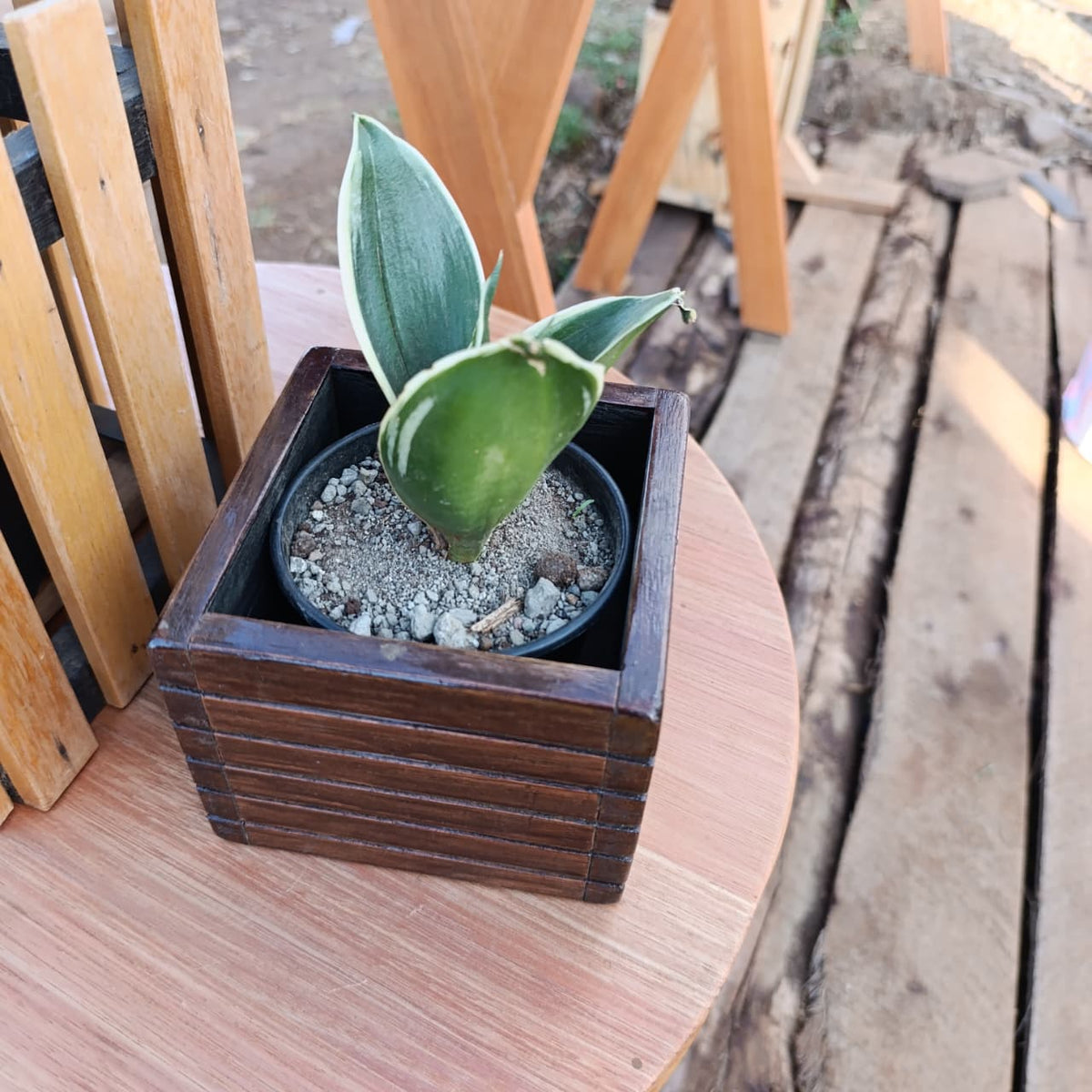 Dark wooden planter box side view