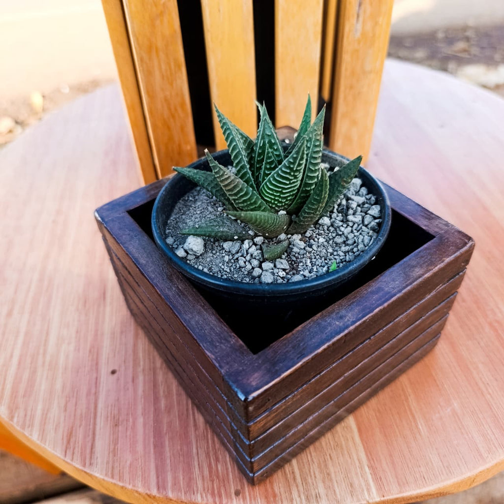 Slatted wooden planter box close-up