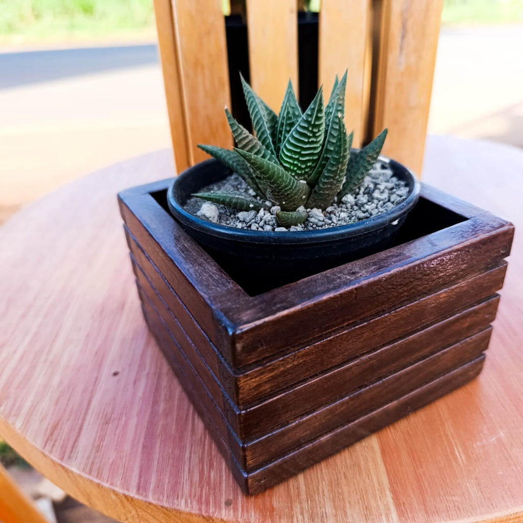 Wooden planter box on a table