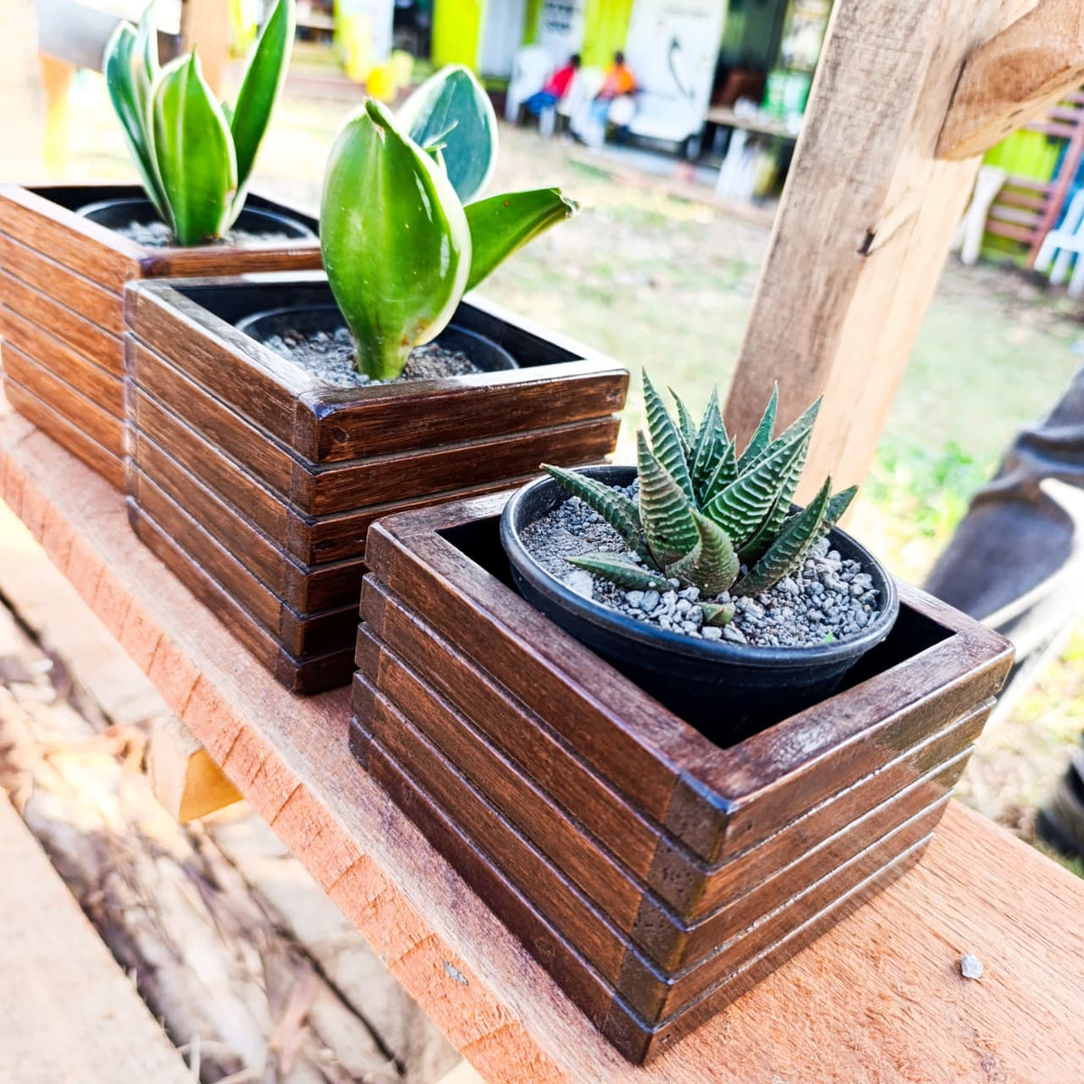 Wooden planter boxes in a row