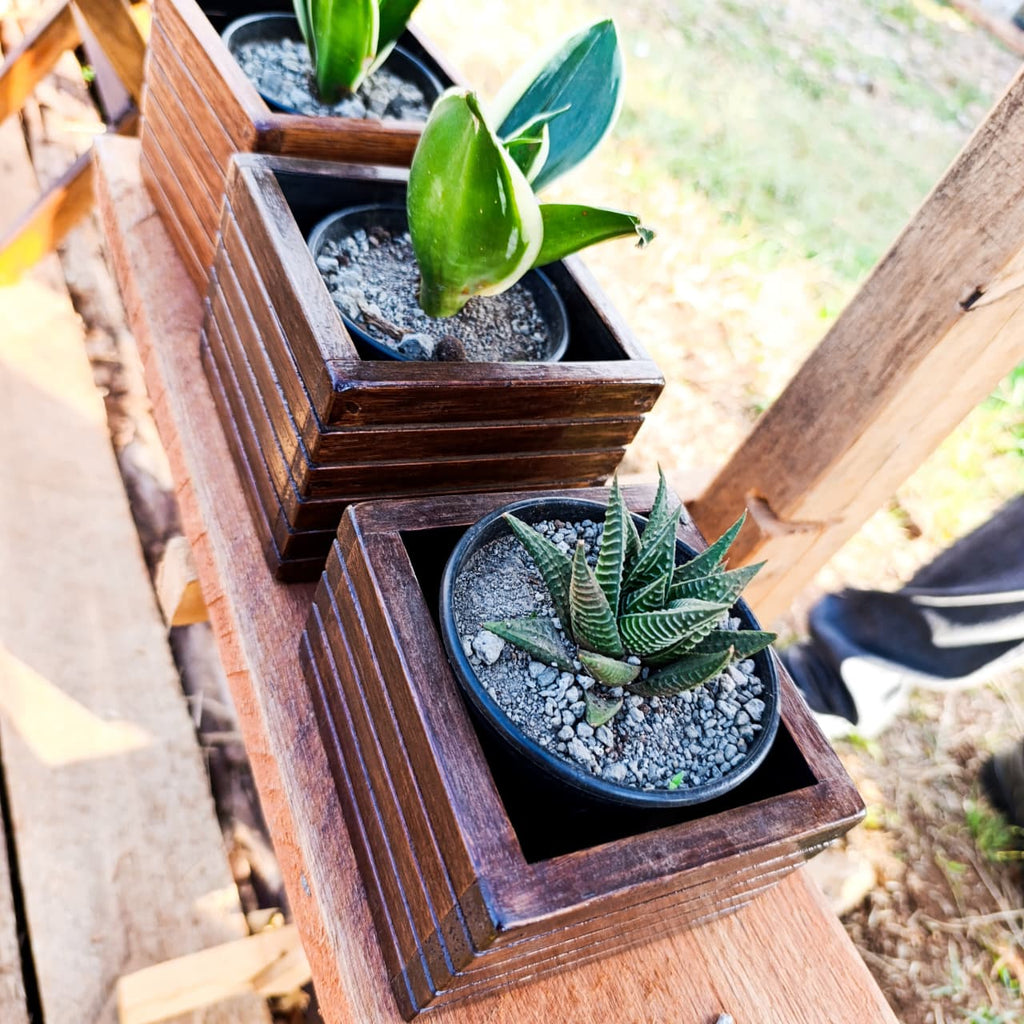 Square dark-stained wooden planter box
