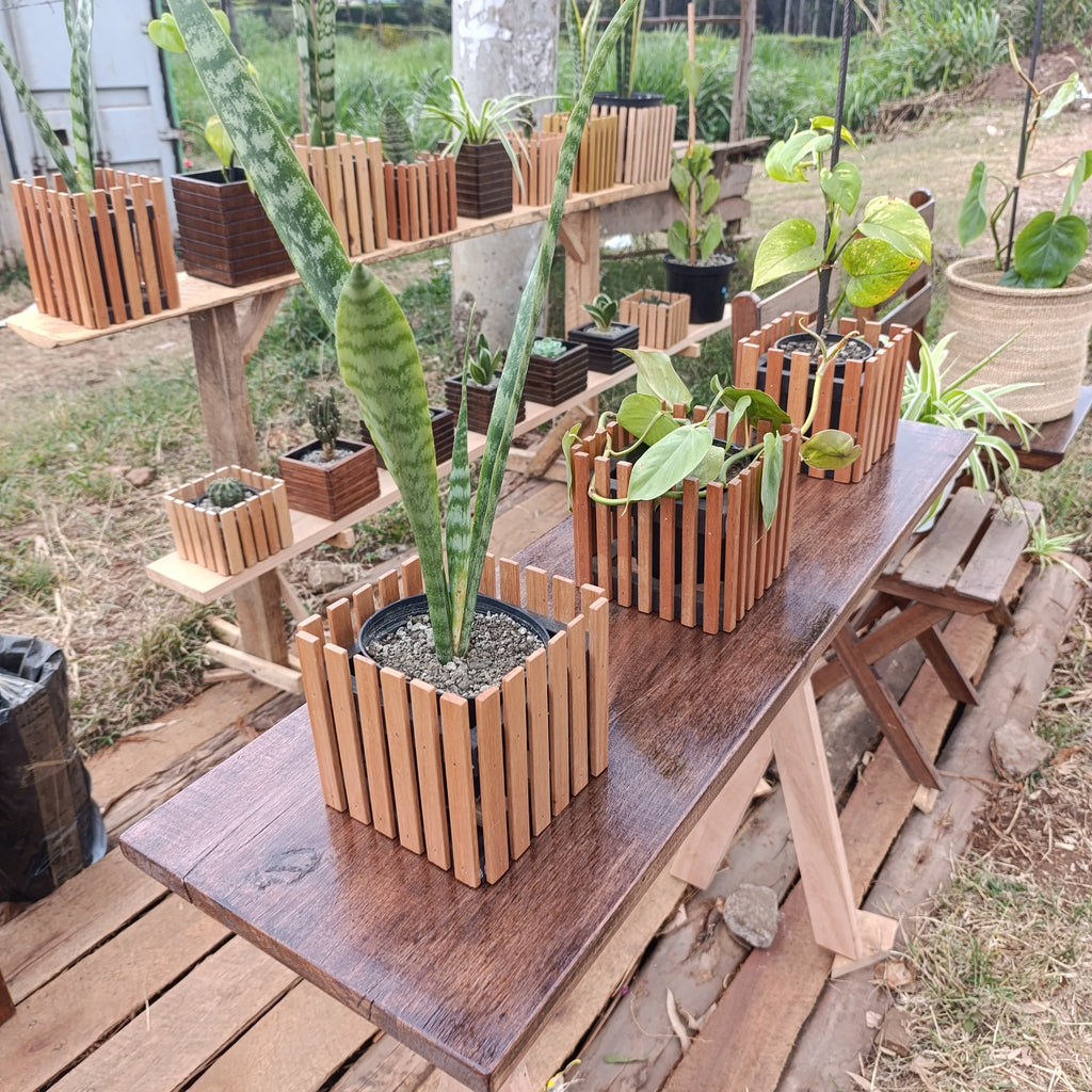 Square Wooden Planter Holder
